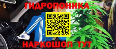 2c-b Моздок