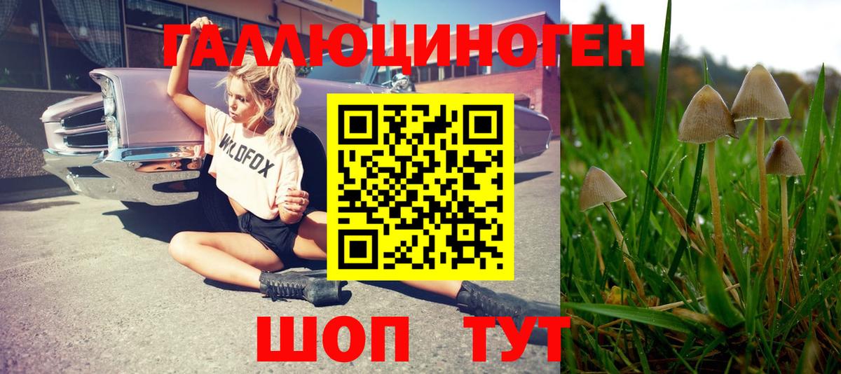 Псилоцибиновые грибы прущие грибы Ульяновск