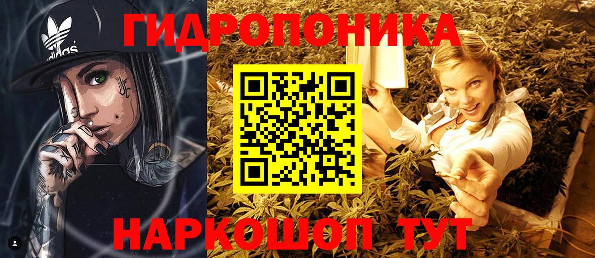 Ульяновск  Бошки Шишки Amnesia  Бошки Шишки планчик  Вход с VPN 